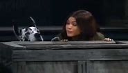 KC Undercover Sup, Dawg? Promo