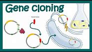 DNA cloning (overview) | gene cloning | What is the purpose of DNA cloning? | genetic engineering