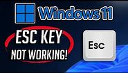 ESC Key Not Working In Windows 11 - [5 FIXES]