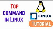 Top command in Linux with examples | How to Use Linux Top Command