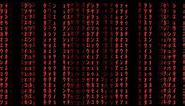 Red Matrix Raincode Full HD 60 FPS