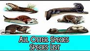 All Otter Species - Species List
