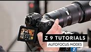 Nikon Z 9 tutorial: Setting up the right Autofocus modes for all situations