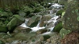 HD video of flowing water. Live wallpaper. Waterfall motion loop 1080