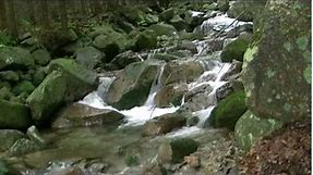 HD video of flowing water. Live wallpaper. Waterfall motion loop 1080