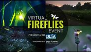 Virtual Fireflies Event presented by Discover Life in America