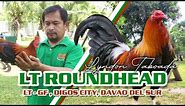 FARM VISIT: RAY ALEXANDER ROUNDHEAD - Mr. Lyndon Taboada of LT Farm