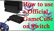 How To Use Gamecube Controllers on the Nintendo Switch (Adapter method)