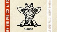 Giraffe - Peeking Animals Cut SVG