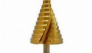 Step Drill Bit HSS Spiral Groove Step Bit 1/4" to 2-3/8" Step Drill Bit for Metal Plastic Wood, 12 Sizes Multiple Hole Stepped Up Bit for DIY Lovers