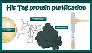 His tag protein purification | Application of his tag purification | Affinity chromatography