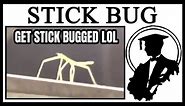 How "Get Stick Bugged Lol" Began