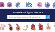 Free Life Science Icons | BioRender