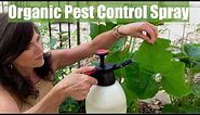 Organic Pest Control Spray for Your Vegetable Garden for Aphids & Chewing Insects