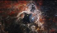 James Webb Space Telescope captures Tarantula Nebula