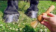 ✦ Making a brush from horsehair! ✦
