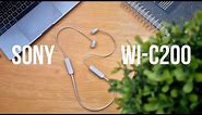 Sony WI C200 wireless earphones. Why should you consider it?