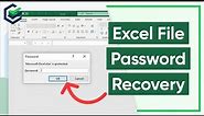 [Excel Password Recovery] Forgot Excel File Password? How to Unprotect Excel Without Password 2024