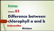Difference between chlorophyll a and b lecture 05