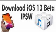Download iOS 13 Beta IPSW without developer Account