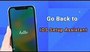 How to Go Back to iOS Setup Assistant in iPhone 14/13/12/11