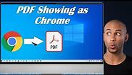 PDF File Showing As Chrome Browser