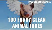 100 Funny CLEAN Animal JOKES - Cat Dog Pig Elephant Duck Rabbit