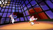 Pinky and The Brain - Pinky - Just say Narf