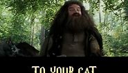 Harry Potter - Starring my Cat OwlKitty