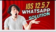 How to use WhatsApp in IOS 12.5.7 Solution / without update