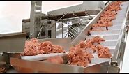 Inside A VEGAN MEAT FACTORY