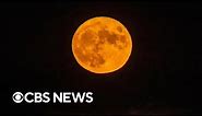 "Sturgeon moon" gives spectators around the world this year's last supermoon