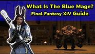 Clad In Blue ! A New Player Guide To Blue Mage - FFXIV