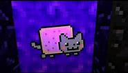 Nyan Cat plays Minecraft