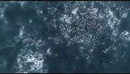 Ocean Texture Loop (Free Footage)