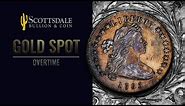 1795 Draped Bust Dollar (MS61): A True Artifact of US History | The Gold Spot Overtime