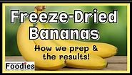 Freeze Dried Bananas - The Process & Ways To Use Them