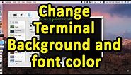 How to change TERMINAL BACKGROUND AND FONT COLOR in MacOS