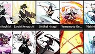 All Shinigami and Their Zanpakuto Spirit in Bleach
