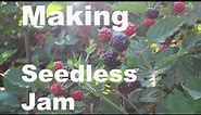 Picking and Making Seedless Blackberry Jam | Using Ball REALFRUIT Pectin | Using a Food Mill |