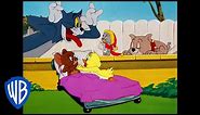 Tom & Jerry | Who is the Cutest? | Classic Cartoon Compilation | WB Kids