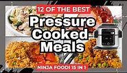 12 of my Best *PRESSURE COOKER MEALS* NINJA FOODI 15 in 1 Recipes