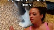 My boss told me to have a good day so I went home #meme Funny Work Memes 😺 Ginger the Cat #cats