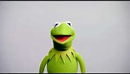 Muppet Thought of the Week ft. Kermit the Frog | The Muppets