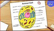 Animal Cell Diagram Drawing CBSE || easy way || labeled Science project - Step by step