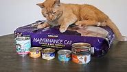 The 7 Best Cheap Cat Foods That Are Affordable and Healthy (2024) - Cats.com