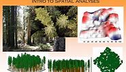 Structure and Dynamics of forest stands Intro to Spatial Analyses