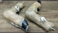 How to mount tanned deer feet (Easiest taxidermy EVER!) ***SUPER EASY*** WHITETAIL TAXIDERMY!