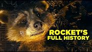 Guardians of the Galaxy Vol 3: The Complete Rocket Story (So Far)