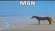 "Man" Horse Meme Analysis